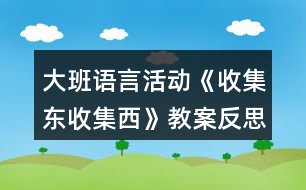 大班語言活動《收集東收集西》教案反思