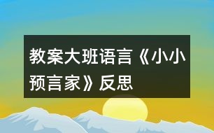 教案大班語言《小小預(yù)言家》反思