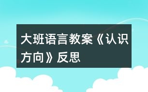 大班語言教案《認(rèn)識(shí)方向》反思