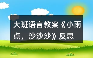 大班語言教案《小雨點，沙沙沙》反思