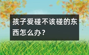 孩子愛碰不該碰的東西怎么辦？