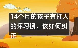 14個(gè)月的孩子有打人的壞習(xí)慣，該如何糾正