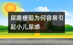 尿路梗阻為何容易引起小兒尿感