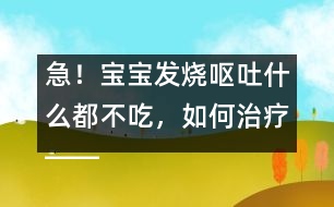 急！寶寶發(fā)燒嘔吐什么都不吃，如何治療――康宏回答