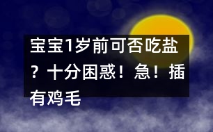 寶寶1歲前可否吃鹽？十分困惑！急！插有雞毛的求助信?。?！