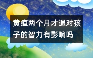 黃疸兩個(gè)月才退對(duì)孩子的智力有影響嗎