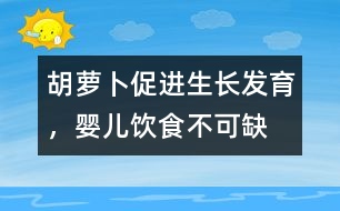 胡蘿卜促進(jìn)生長(zhǎng)發(fā)育，嬰兒飲食不可缺