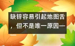 缺鋅容易引起地圖舌，但不是唯一原因――洪昭毅回答