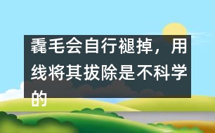 毳毛會(huì)自行褪掉，用線將其拔除是不科學(xué)的