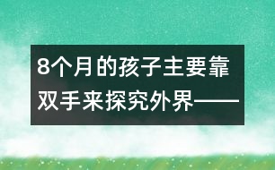 8個月的孩子主要靠雙手來探究外界――杜亞松回答