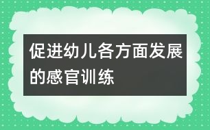 促進(jìn)幼兒各方面發(fā)展的感官訓(xùn)練