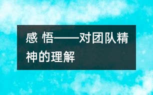 感 悟――對“團隊精神”的理解