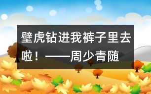 “壁虎”鉆進(jìn)我褲子里去啦！――周少青隨筆兩篇