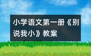 小學(xué)語文第一冊《別說我小》教案