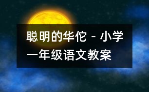 聰明的華佗 - 小學(xué)一年級(jí)語(yǔ)文教案