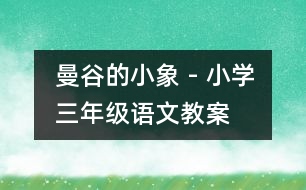 曼谷的小象 - 小學(xué)三年級語文教案