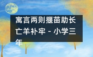 寓言兩則（揠苗助長 亡羊補牢） - 小學(xué)三年級語文教案