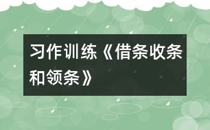 （習(xí)作訓(xùn)練）《借條、收條和領(lǐng)條》