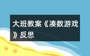 大班教案《湊數(shù)游戲》反思