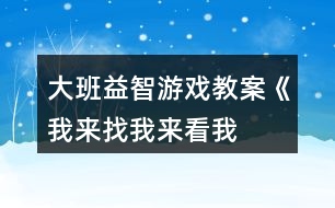 大班益智游戲教案《我來找、我來看、我來玩》