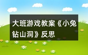 大班游戲教案《小兔鉆山洞》反思