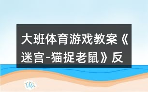 大班體育游戲教案《迷宮-貓捉老鼠》反思