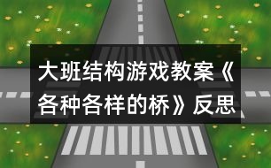 大班結(jié)構(gòu)游戲教案《各種各樣的橋》反思