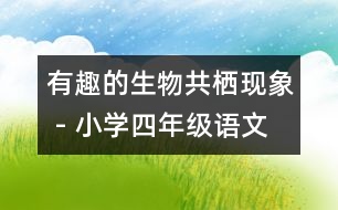 有趣的生物共棲現(xiàn)象 - 小學(xué)四年級(jí)語(yǔ)文教案