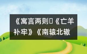 《寓言兩則?《亡羊補(bǔ)牢》、《南轅北轍》》教學(xué)設(shè)計(jì),教案