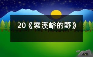 20《索溪峪的“野”》