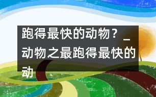 跑得最快的動物？_動物之最：跑得最快的動物？