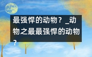 最強(qiáng)悍的動物？_動物之最：最強(qiáng)悍的動物？