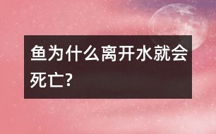 魚為什么離開水就會(huì)死亡?