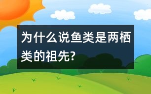 為什么說魚類是兩棲類的祖先?