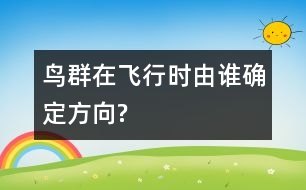 鳥群在飛行時由誰確定方向?