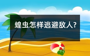 蝗蟲(chóng)怎樣逃避敵人?