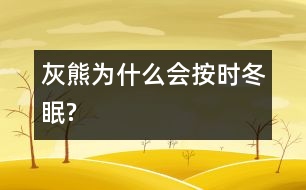 灰熊為什么會(huì)按時(shí)冬眠?