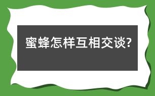 蜜蜂怎樣互相交談?