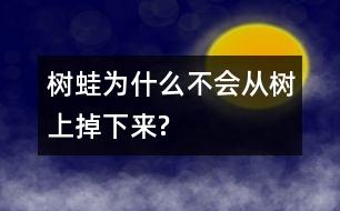 樹蛙為什么不會從樹上掉下來?