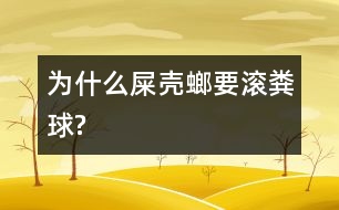 為什么屎殼螂要滾糞球?