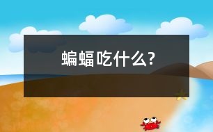 蝙蝠吃什么?