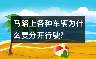 馬路上各種車輛為什么要分開行駛?