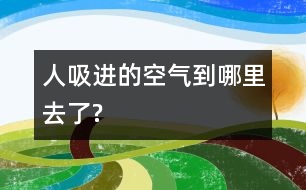 人吸進的空氣到哪里去了?