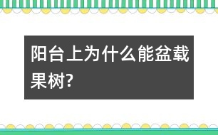 陽(yáng)臺(tái)上為什么能盆載果樹?