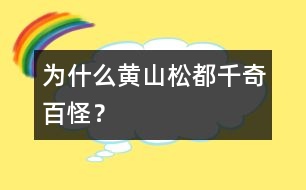 為什么黃山松都千奇百怪？