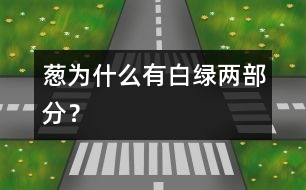 蔥為什么有白、綠兩部分？