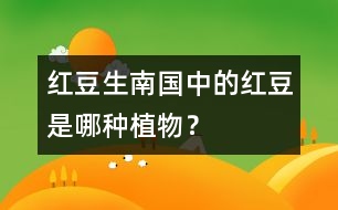 “紅豆生南國”中的紅豆是哪種植物？