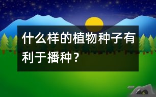 什么樣的植物種子有利于播種？