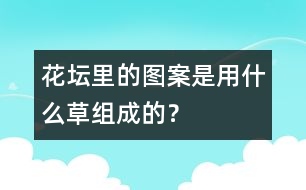 花壇里的圖案是用什么草組成的？