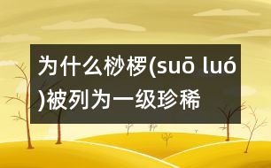 為什么桫欏(suō luó)被列為一級珍稀植物？